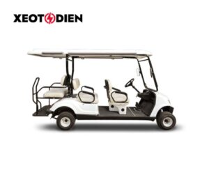 Xe golf tốc độ thấp LQY065A
